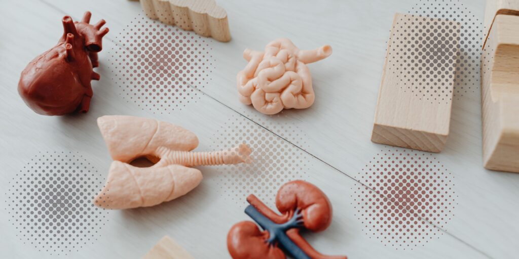 WHAT HEALTH !? YOUR NEWSLETTER ON DIGITAL HEALTH