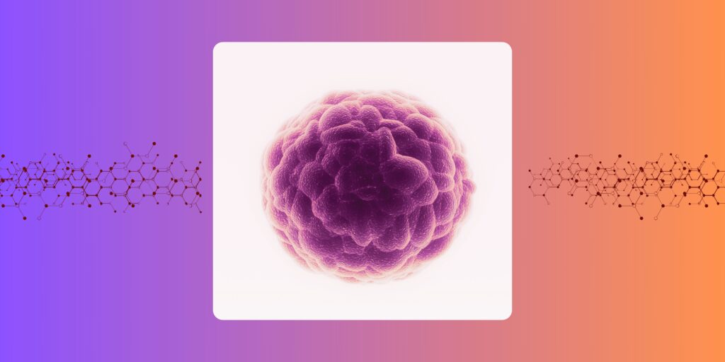 WHAT HEALTH !? YOUR NEWSLETTER ON DIGITAL HEALTH